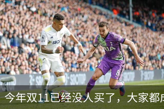 今年双11已经没人买了，大家都成了“纯过日子人”……