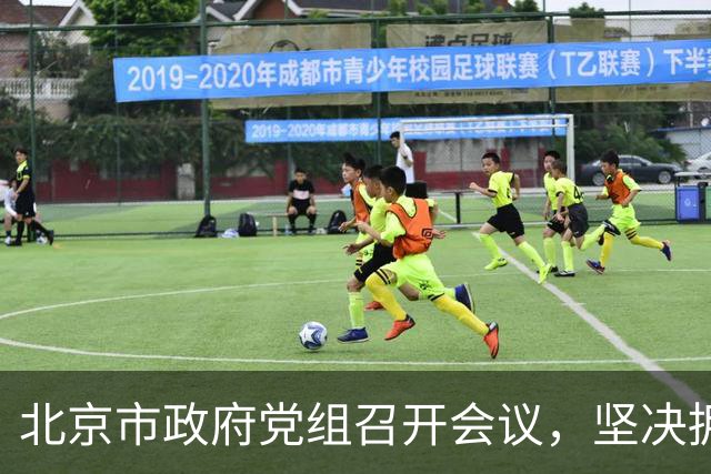北京市政府党组召开会议，坚决拥护党中央决定，把政府系统全面从严治党推向纵深