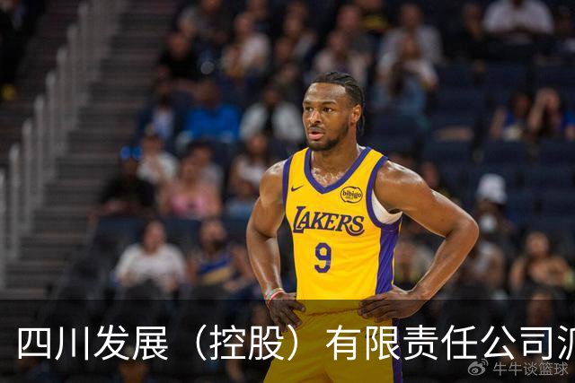 四川发展（控股）有限责任公司派驻出资企业专职董事朱全芳接受审查调查