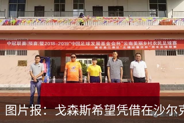图片报：戈森斯希望凭借在沙尔克的表现重返德国国家队