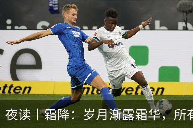 夜读丨霜降：岁月渐露霜华，所有期待终将抵达