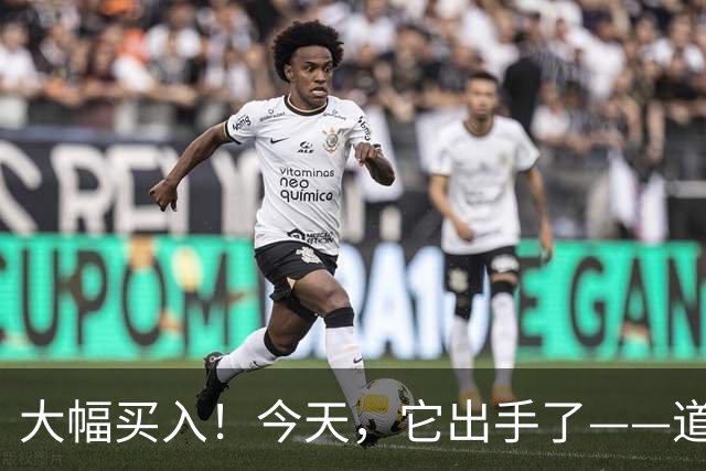 大幅买入！今天，它出手了——道达投资手记