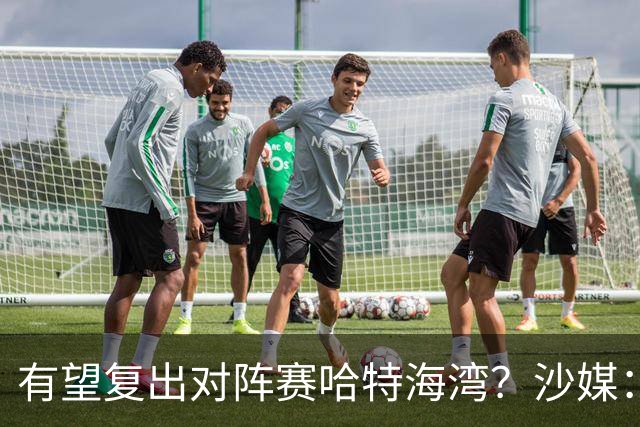 有望复出对阵赛哈特海湾？沙媒：托尼重新参加球队训练