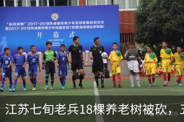 江苏七旬老兵18棵养老树被砍，五次赴省反映后被送派出所