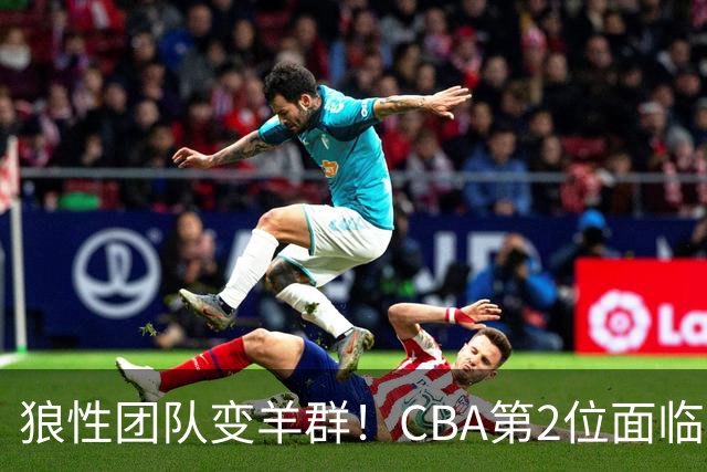 狼性团队变羊群！CBA第2位面临下课主帅曝光，发布会怒喷70%球员不在线，却说自己问心无愧！评论区一边倒