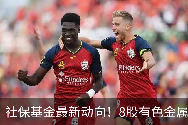 社保基金最新动向！8股有色金属，最高净利狂飙19540%！