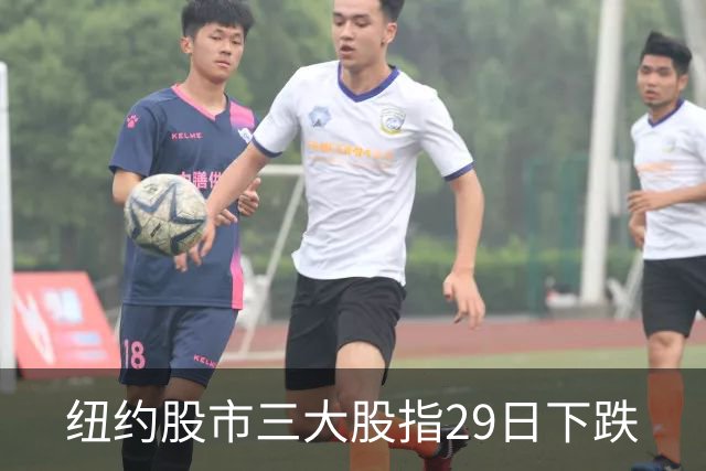 纽约股市三大股指29日下跌