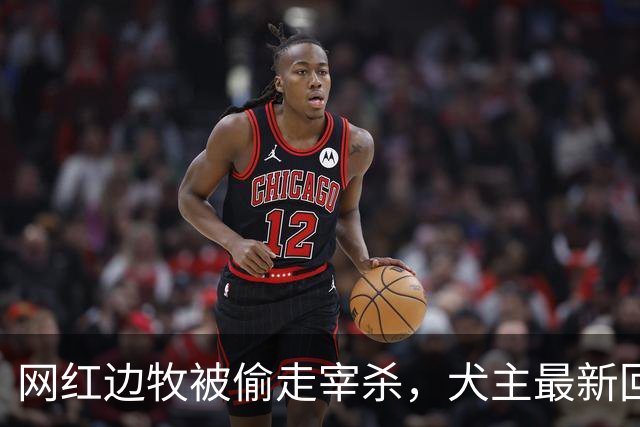 网红边牧被偷走宰杀，犬主最新回应：对方赔偿30万元，我将一分不留全捐出去！