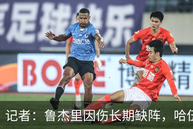 记者：鲁杰里因伤长期缺阵，哈伍德-贝利斯入选维拉欧冠名单