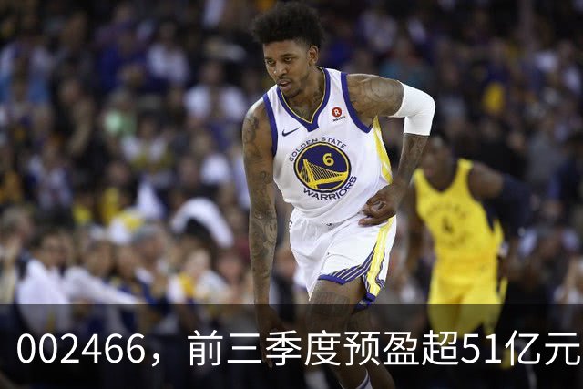 002466，前三季度预盈超51亿元！