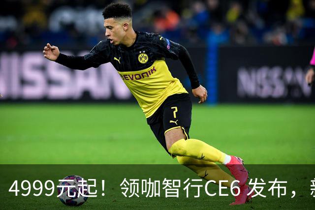 4999元起！领咖智行CE6 发布，新大洲本田旗下电摩